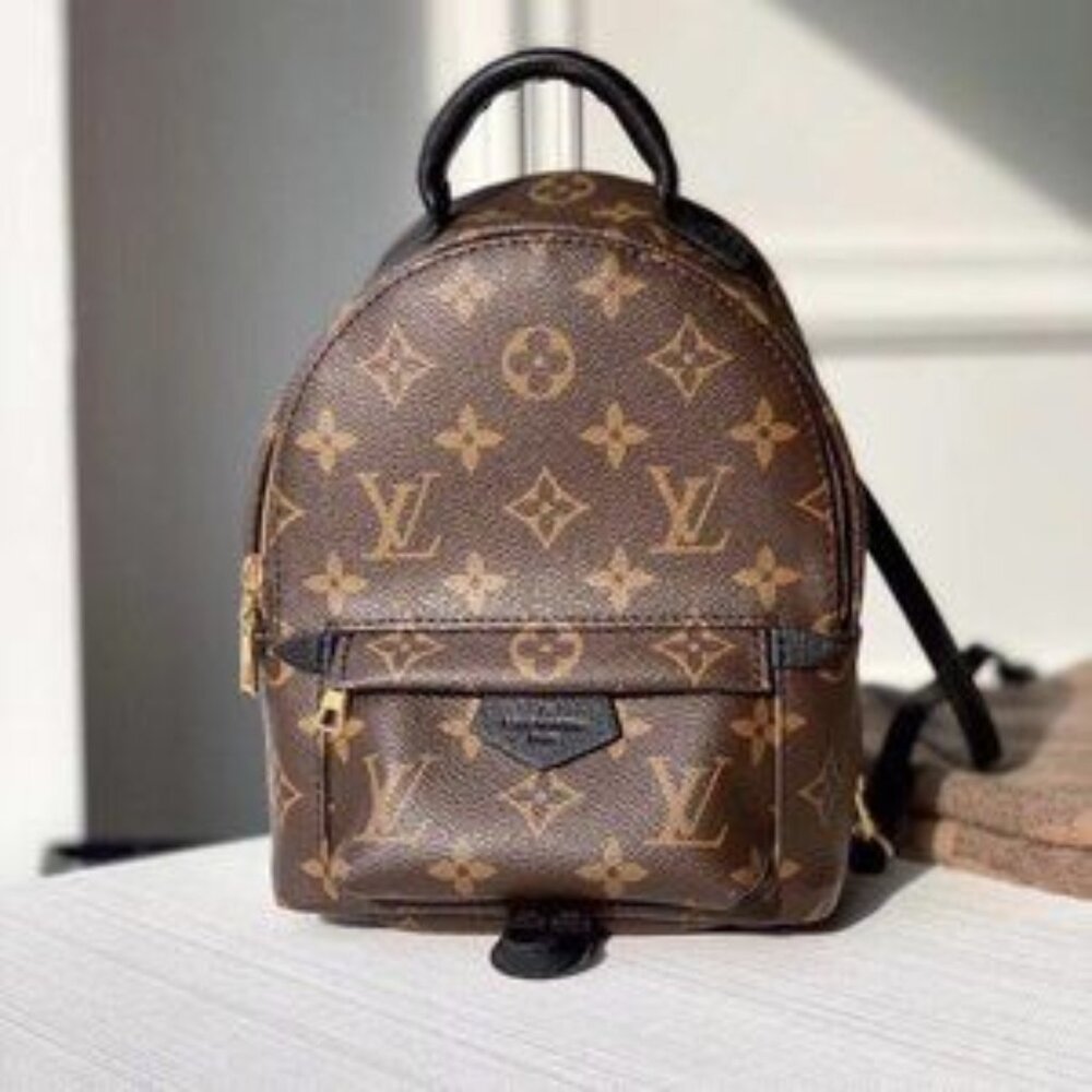 Louis Vuitton Palm Sprinss Mini Backpack